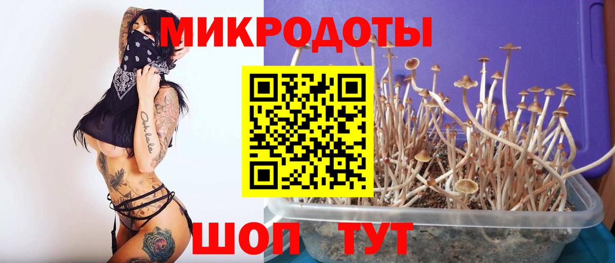 где можно купить   Галлюциногенные грибы Psilocybine cubensis  Вход с VPN  Реутов 